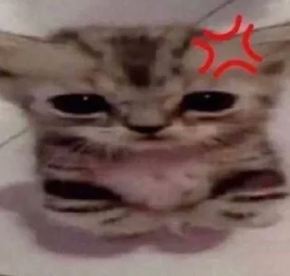 Стикер котики няши - 11