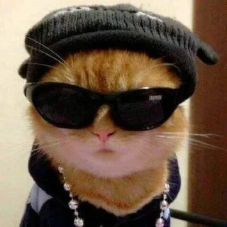 Стикер котики няши - 10