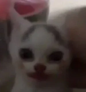 Стикер котики няши - 5