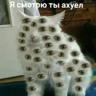 Стикер nym-0s - 10