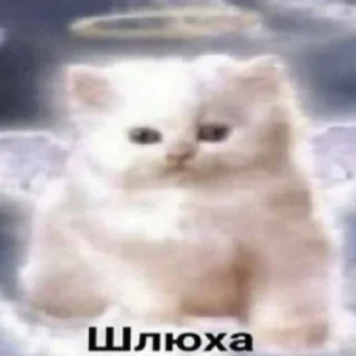 Стикер nym-0s - 3