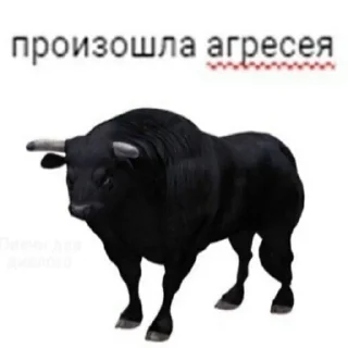 Стикер nym-0s - 0