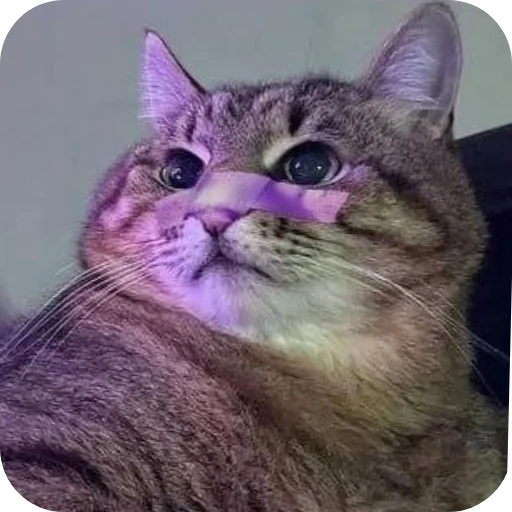 Sticker nyssatha - 1