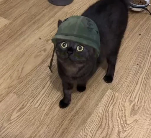 Sticker nyssatha - 1