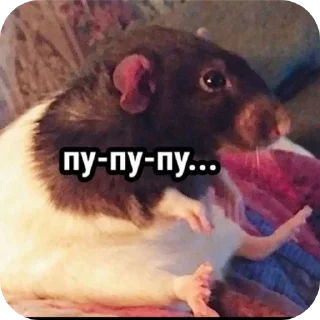 Стикер Шалупонька - 10