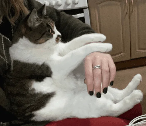 Стикер nyusha - 1