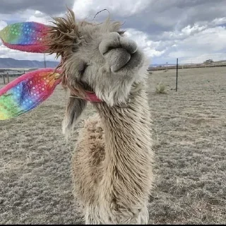 Стикер 💕Стики тут: @sekstick - 10