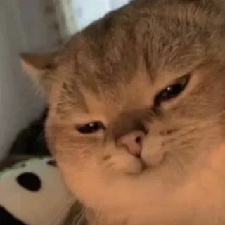 Стикер 💕Стики тут: @sekstick - 7