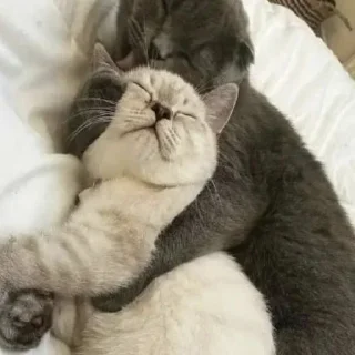 Стикер 💕Стики тут: @sekstick - 11