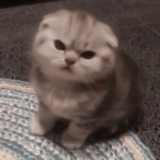 Sticker nzpuSwHPTdjFjzp_by_TgStickerRobot - 1