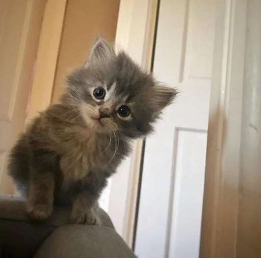 Стикер nzpuSwHPTdjFjzp_by_TgStickerRobot - 1