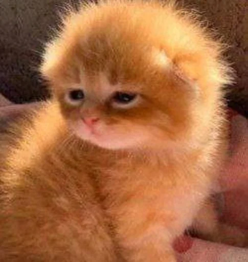 Стикеры@TgStickerRobot - 