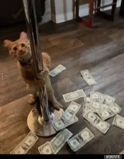 Sticker Стикеры@TgStickerRobot - 6