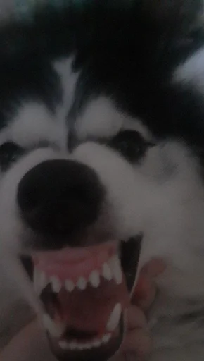 Создать стикеры|@EmojiRuBot - 