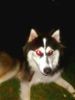 Sticker Создать стикеры|@EmojiRuBot - 0