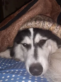 Sticker Создать стикеры|@EmojiRuBot - 1