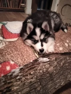 Sticker Создать стикеры|@EmojiRuBot - 8