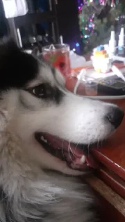 Sticker Создать стикеры|@EmojiRuBot - 3