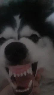 Sticker Создать стикеры|@EmojiRuBot - 7