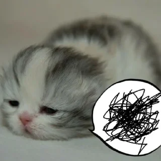 Стикер о5 бляд0та// by: @waifustiks - 8