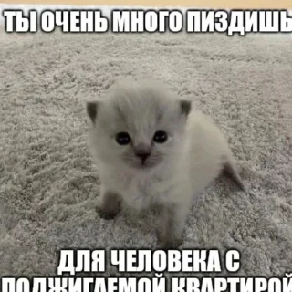 Стикер о5 бляд0та// by: @waifustiks - 4