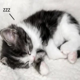 Стикер о5 бляд0та// by: @waifustiks - 0