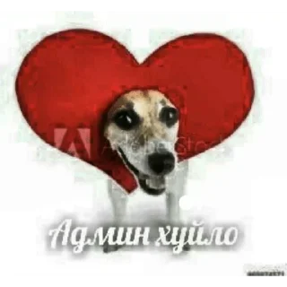 Стикер Больше стиков тут: @stikery4 - 10