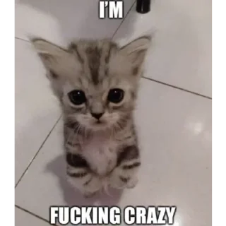 Стикер Больше стиков тут: @stikery4 - 9