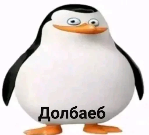 Sticker oEqJkxxFhLmubatX_by_stickers_stealer_bot - 1