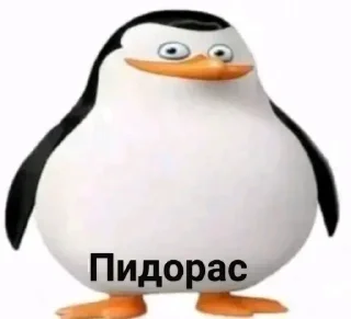 Стикер Больше стикеров 👉🏻 @stickertg4 - 7