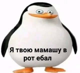 Стикер Больше стикеров 👉🏻 @stickertg4 - 0