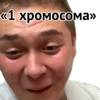Sticker Перлампше by @stqrapp - 4