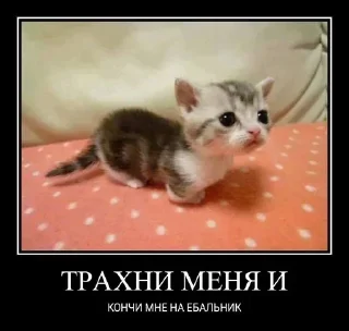 Sticker Больше стикеров 👉🏻 @stickertg4 - 6