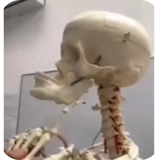 Sticker oJXouvF_by_achestickbot - 1