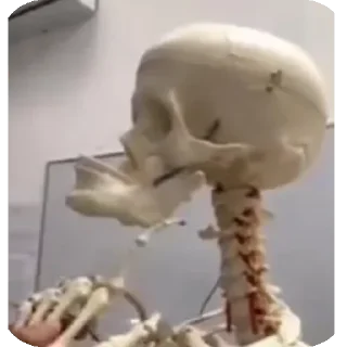 Sticker Больше стиков тут: @stikery4 - 9