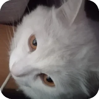 Sticker Больше стиков тут: @stikery4 - 7