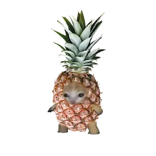 Sticker Больше стикеров 👉🏻 @stickertg4 - 9