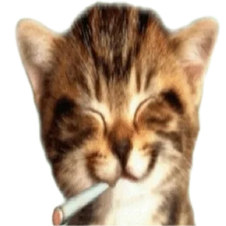 Sticker обдримкорился  @brokenzipfile - 9