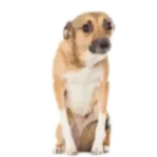 Sticker обдримкорился  @brokenzipfile - 8