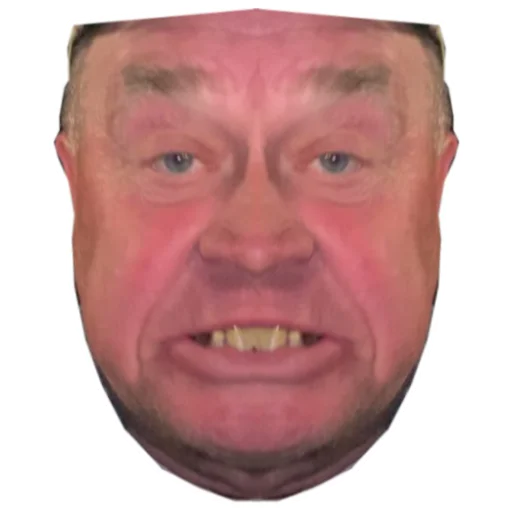 human face forehead cheek