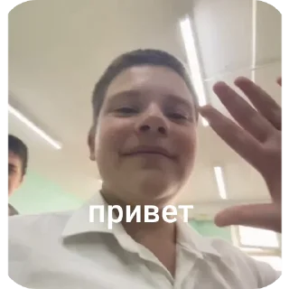 Sticker обезьянки - 3