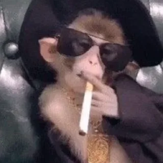 Стикер абезяны ¦| @stickerspremiumemoji - 11