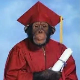 Стикер абезяны ¦| @stickerspremiumemoji - 8