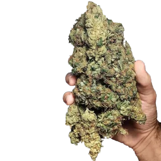 oborotka420.com - человеческое лицо