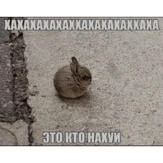 Стикер обрыгунство негра - 9