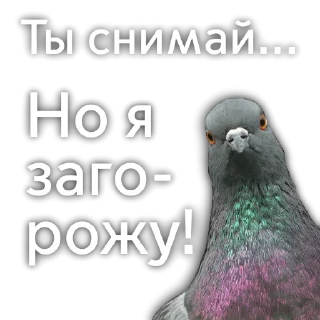 Стикер Стикеры для оценивания - 2