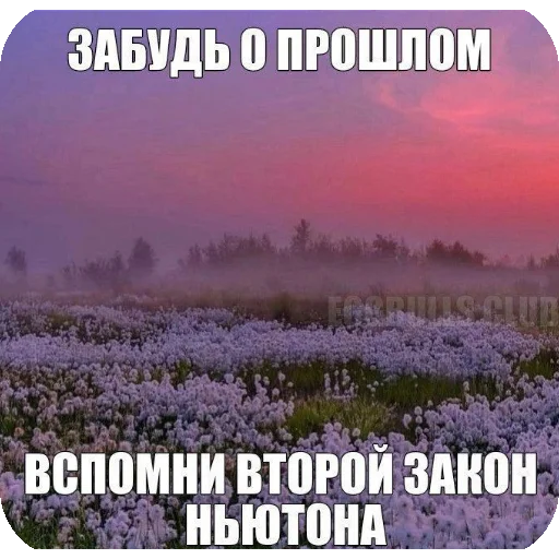 Стикер oda3344 - 1