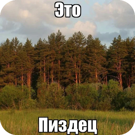 Стикер oda3344 - 1