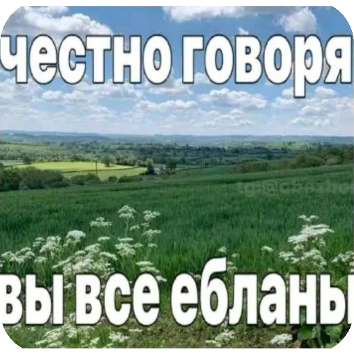 Стикер oda3344 - 1