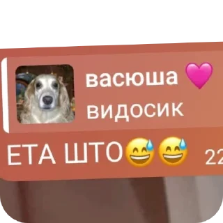 Стикер ася нася сеня смешни сообщения - 6